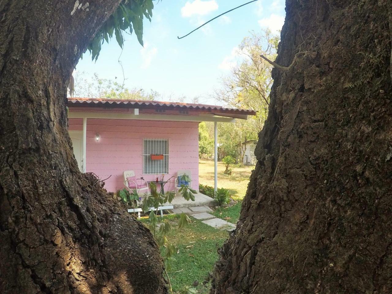La Casita De El ValleEl Valle de Anton エクステリア 写真