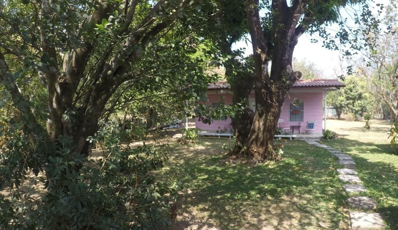 La Casita De El ValleEl Valle de Anton エクステリア 写真